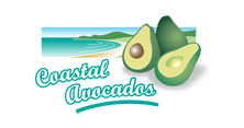 Coastal Avocado